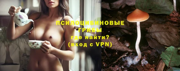 ешки Алзамай