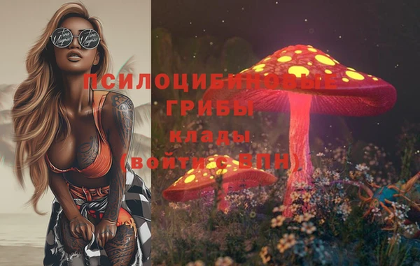 ешки Алзамай