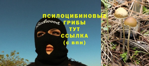 прущая мука Новодвинск