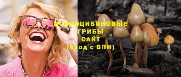 a pvp Алексеевка